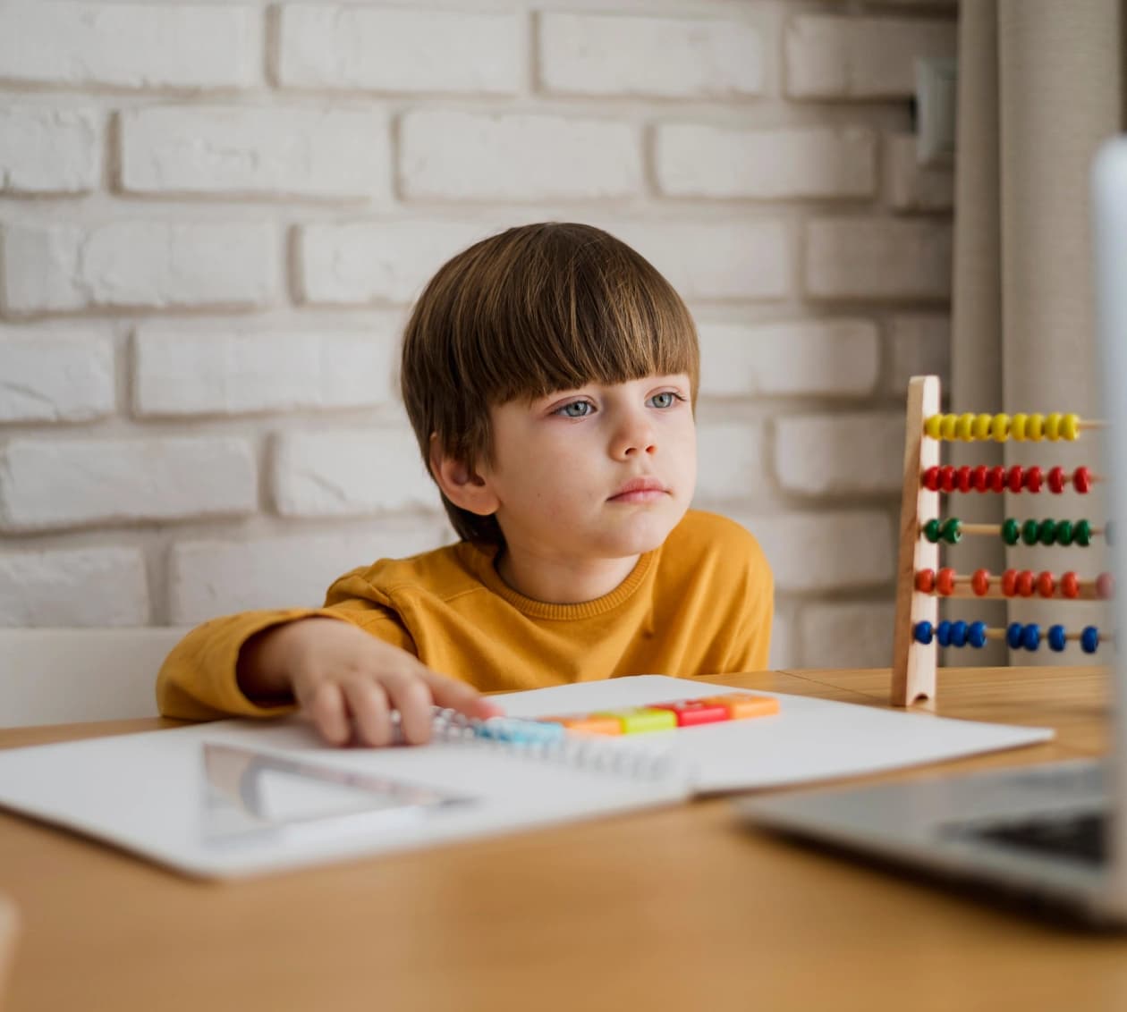 Boy concentrating on a lesson with an abacus beside him